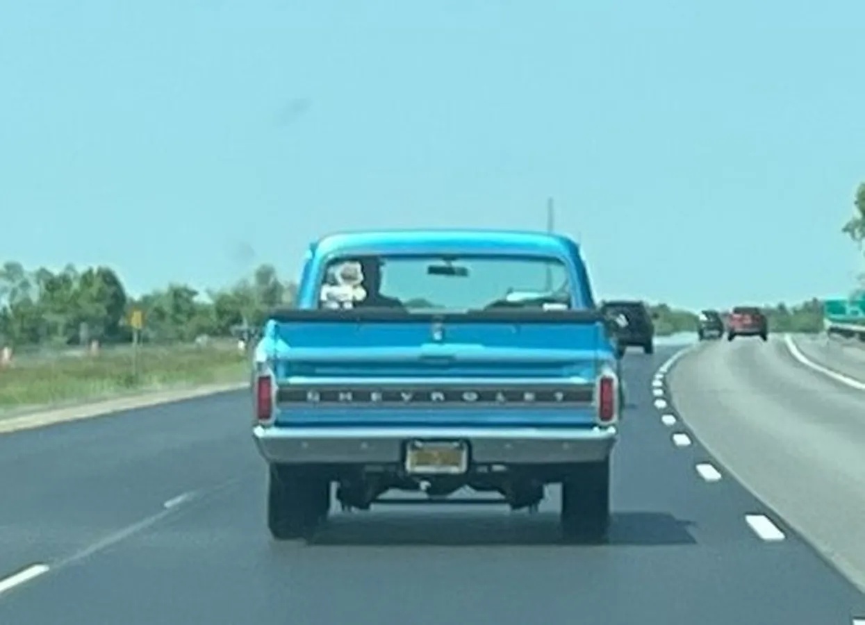 Chevrolet-10-1969-Blue-Blue-6