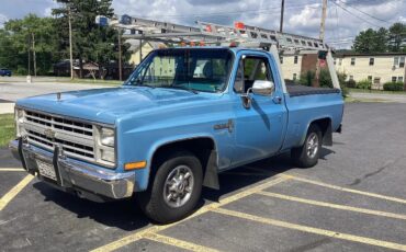 Chevrolet-10-1986-Blue-Blue-11