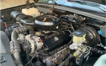 Chevrolet-1500-1990-8