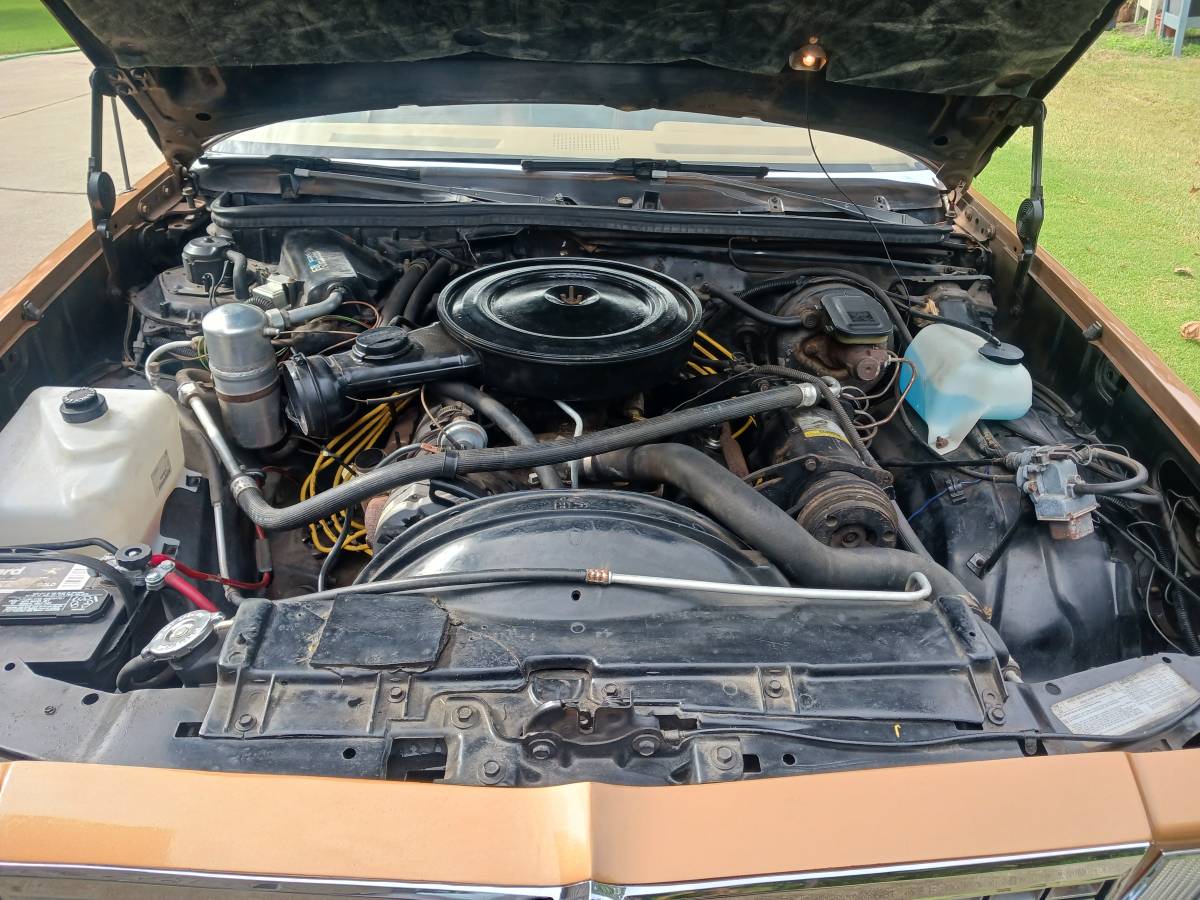 Chevrolet-1978-custom-7