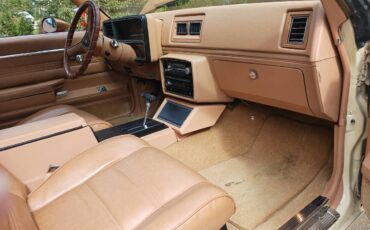 Chevrolet-1978-custom-8