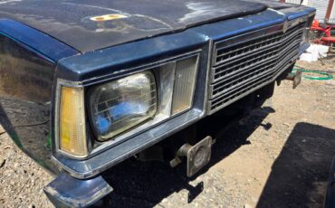 Chevrolet-1979-24