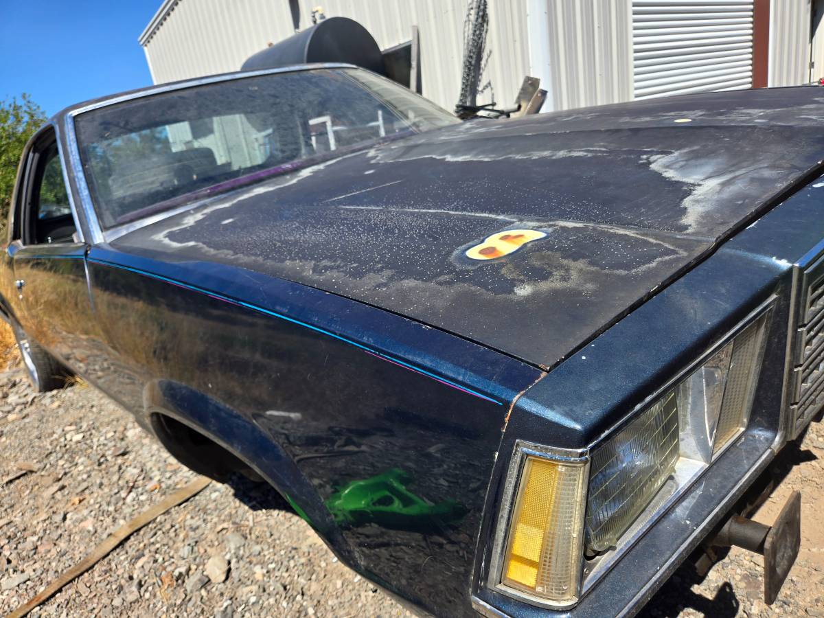 Chevrolet-1979-4