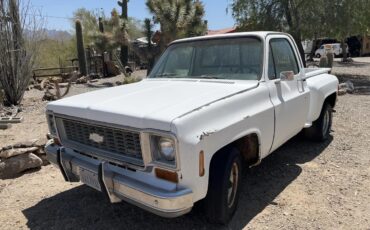 Chevrolet-3100-1973-White-Tan-1