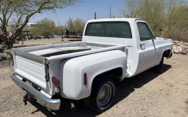 Chevrolet-3100-1973-White-Tan