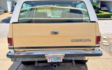 Chevrolet-Blazer-1984-3