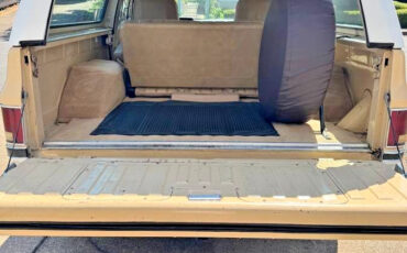 Chevrolet-Blazer-1984-4
