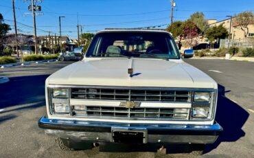 Chevrolet-Blazer-1988-White-Gray-18