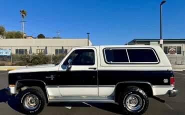 Chevrolet-Blazer-1988-White-Gray