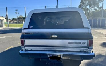 Chevrolet-Blazer-1988-White-Gray-5