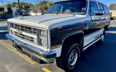 Chevrolet-Blazer-1988-White-Gray-7