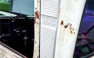Chevrolet-C-10-1964-Truck-18