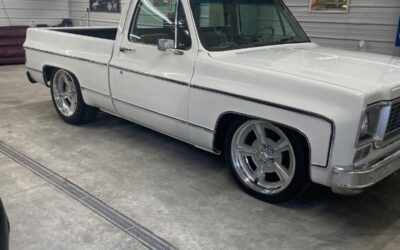 Chevrolet C-10 1974 Standard Cab Pickup