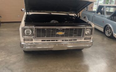 Chevrolet-C-10-1974-Standard-Cab-Pickup-6