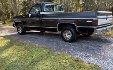 Chevrolet-C-10-1980-1