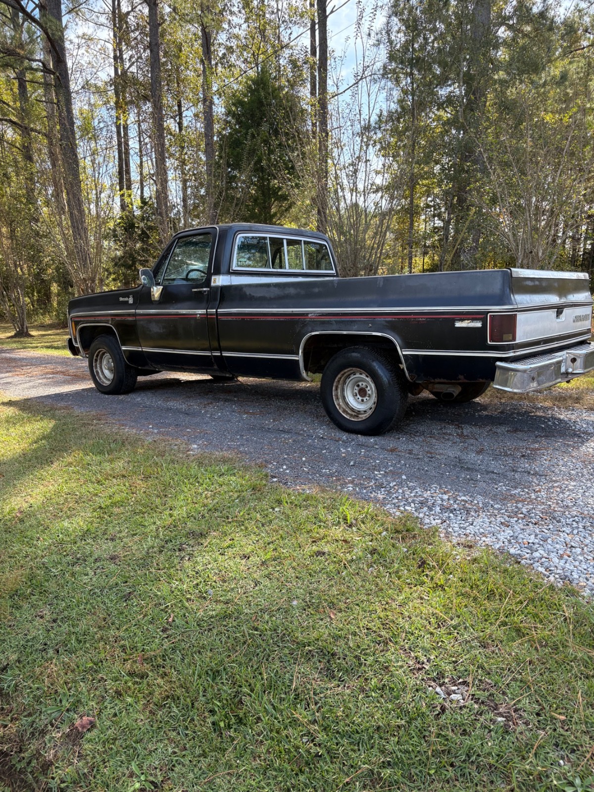 Chevrolet-C-10-1980-1