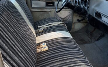 Chevrolet-C-10-1980-10