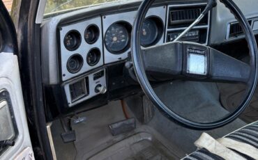 Chevrolet-C-10-1980-13