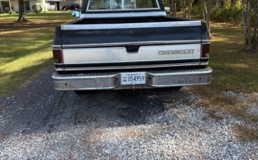 Chevrolet-C-10-1980-2