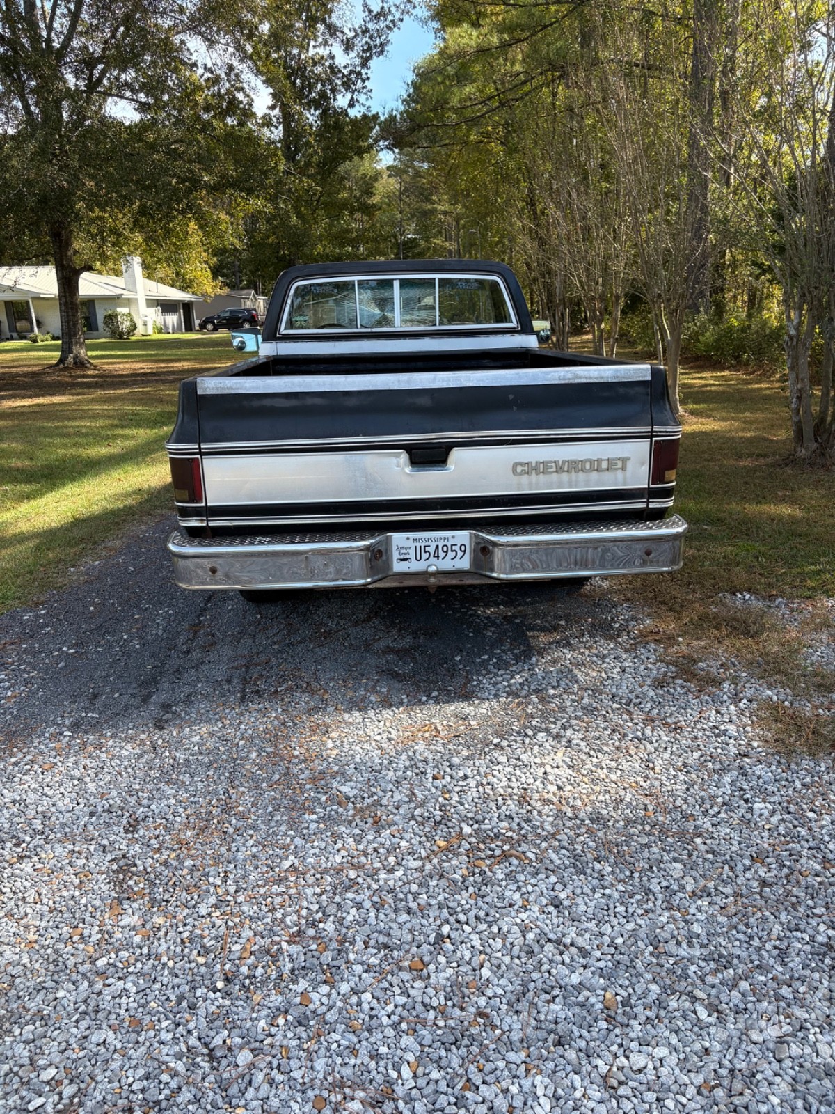 Chevrolet-C-10-1980-2