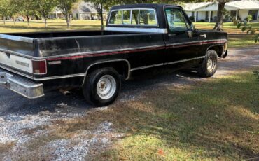 Chevrolet-C-10-1980-4