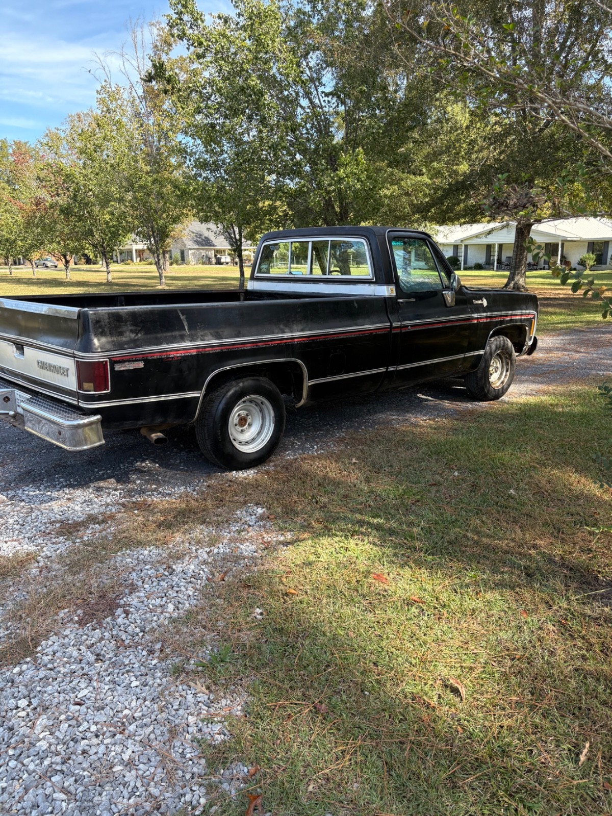 Chevrolet-C-10-1980-4
