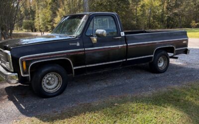 Chevrolet C-10 1980