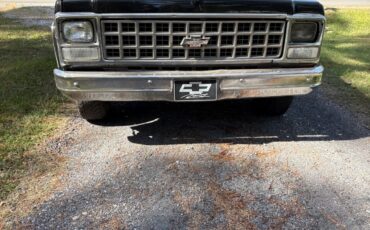 Chevrolet-C-10-1980-5