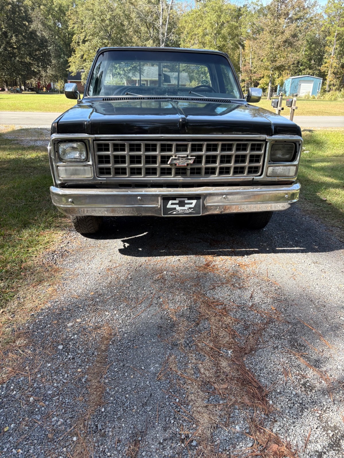 Chevrolet-C-10-1980-5