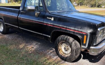 Chevrolet-C-10-1980-6