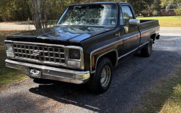 Chevrolet-C-10-1980-7
