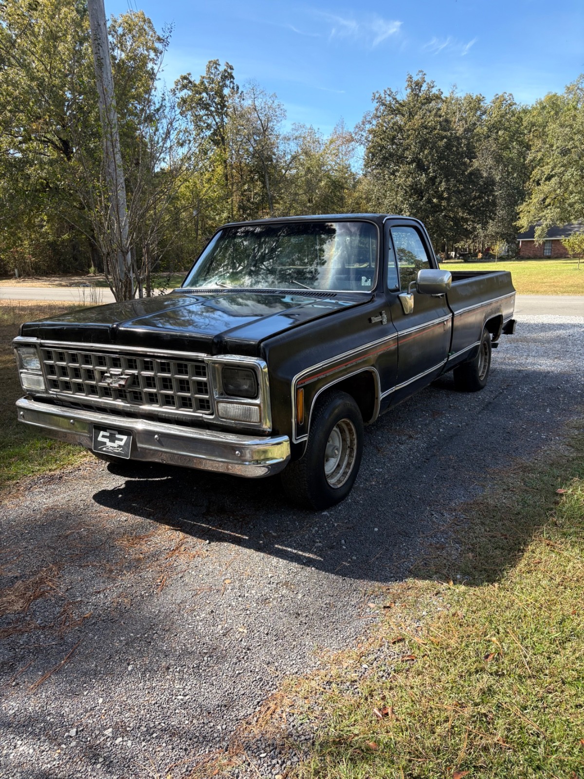 Chevrolet-C-10-1980-7