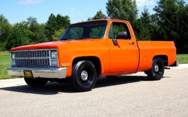 Chevrolet-C-10-1981-Classic-Car-35