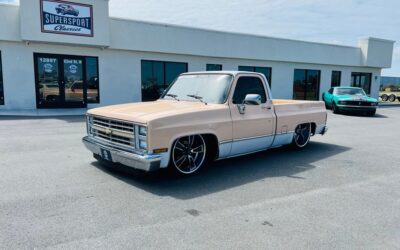 Chevrolet C-10 1983 Pickup Truck