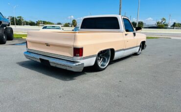 Chevrolet-C-10-1983-Pickup-Truck-5