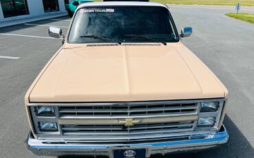 Chevrolet-C-10-1983-Pickup-Truck-9
