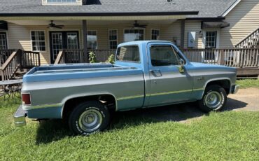 Chevrolet-C-10-1984-10