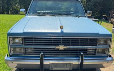 Chevrolet-C-10-1984-11