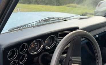 Chevrolet-C-10-1984-14