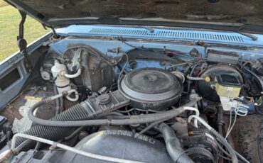Chevrolet-C-10-1984-19