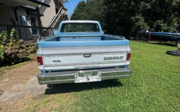 Chevrolet-C-10-1984-9