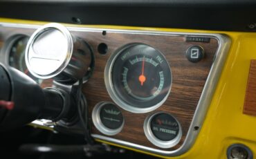 Chevrolet-C10-1967-Yellow-Black-44
