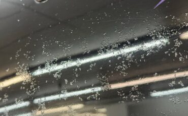 Chevrolet-C10-1971-Black-Mocha-28