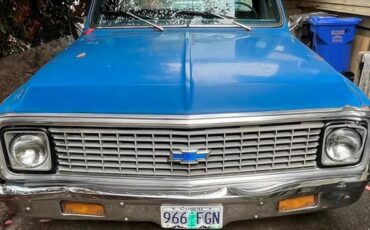 Chevrolet-C10-1971-Blue-Blue-5