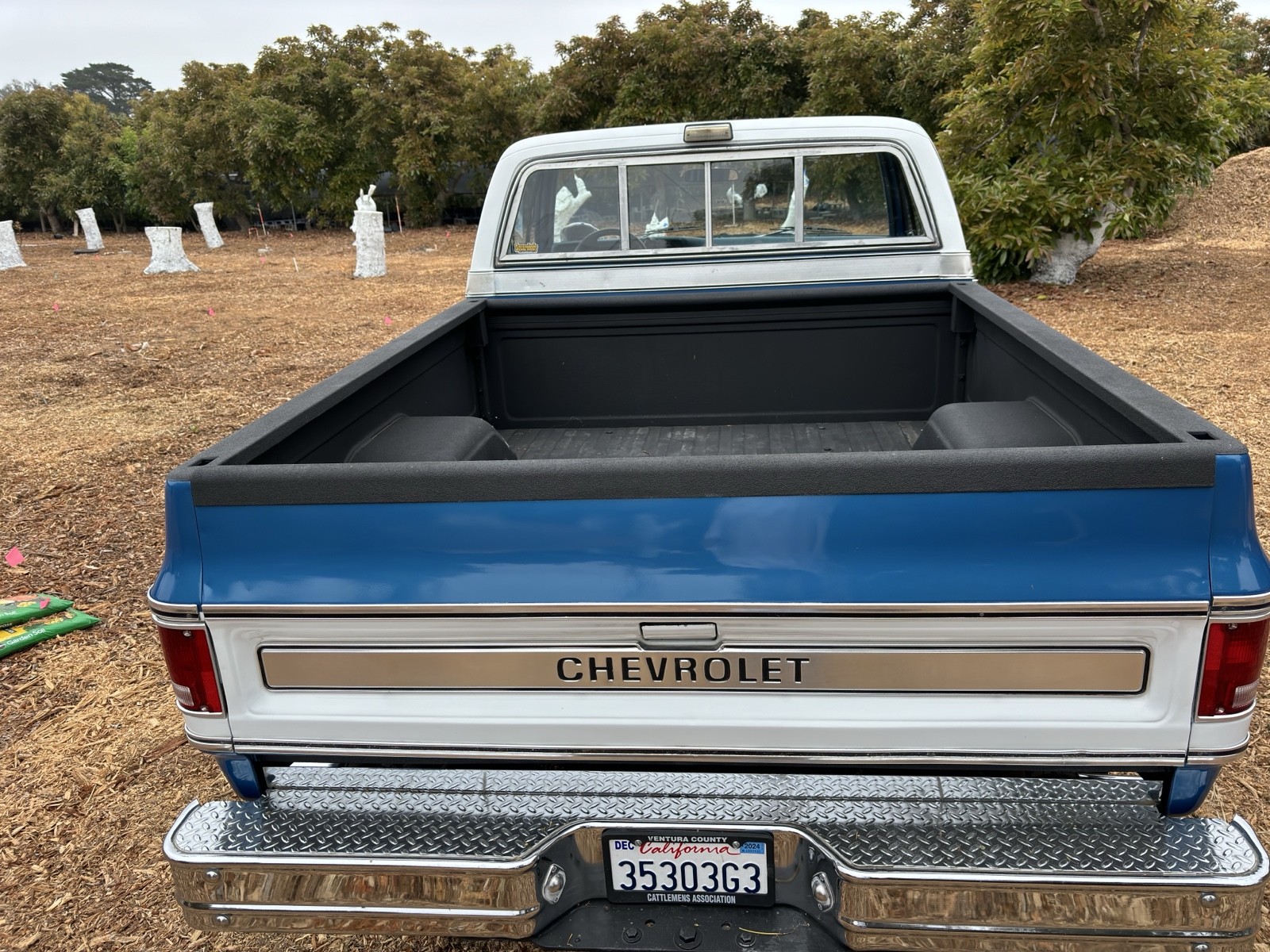 Chevrolet-C10K10-1974-4