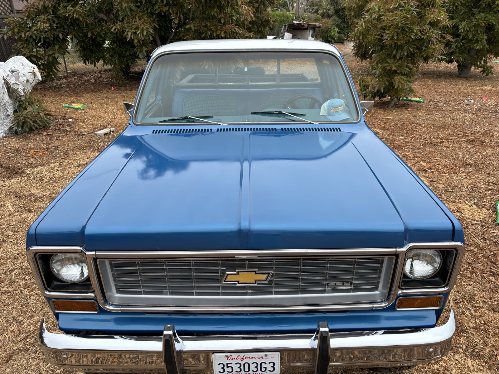 Chevrolet-C10K10-1974-5