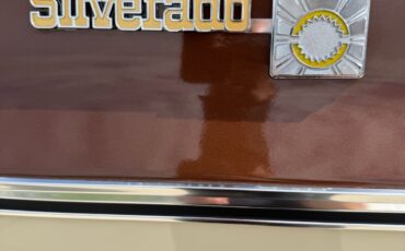 Chevrolet-C10K10-1977-13