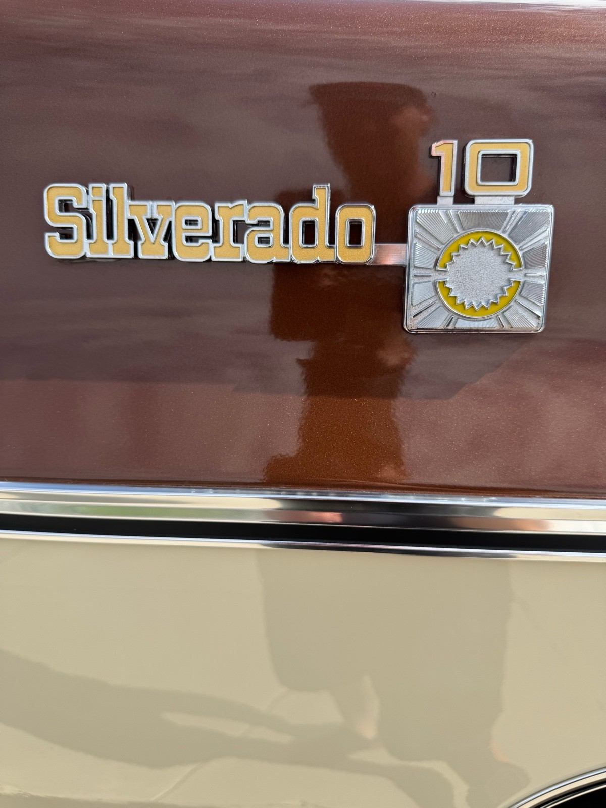 Chevrolet-C10K10-1977-13