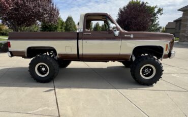 Chevrolet-C10K10-1977-2