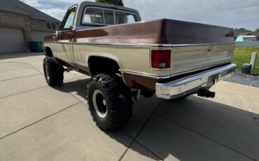 Chevrolet-C10K10-1977-3